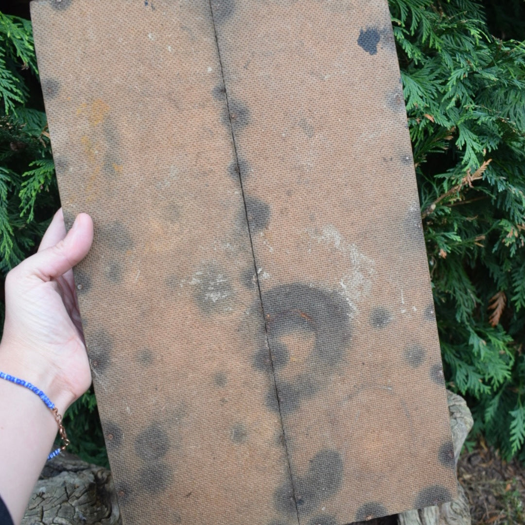 Vintage Curiosity shelf