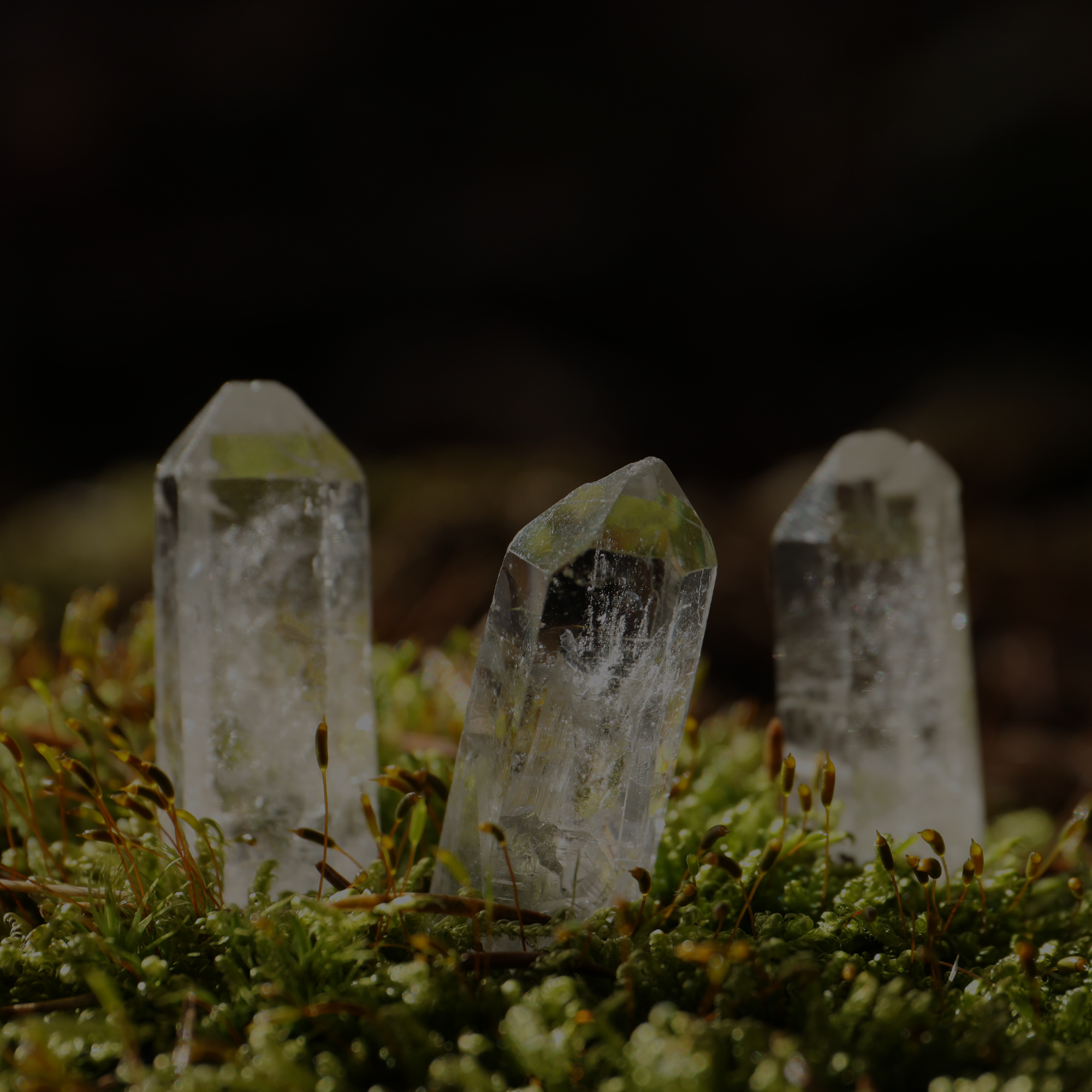 The Crystal Chest
