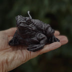 Paddock The Toad Candle