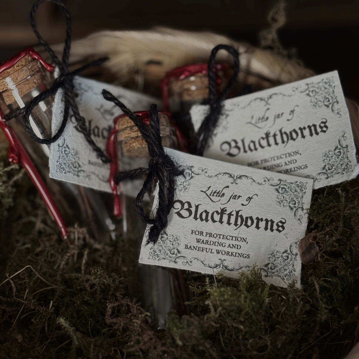 Little Jar Of Blackthorns