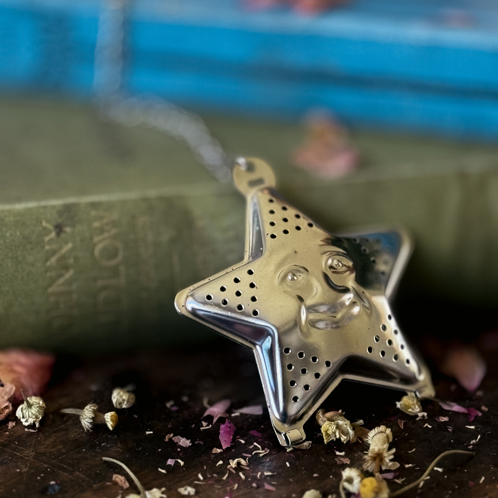Celestial Star Tea Diffuser
