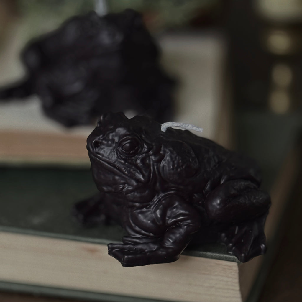 Paddock The Toad Candle