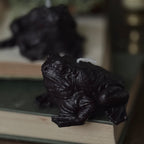 Paddock The Toad Candle