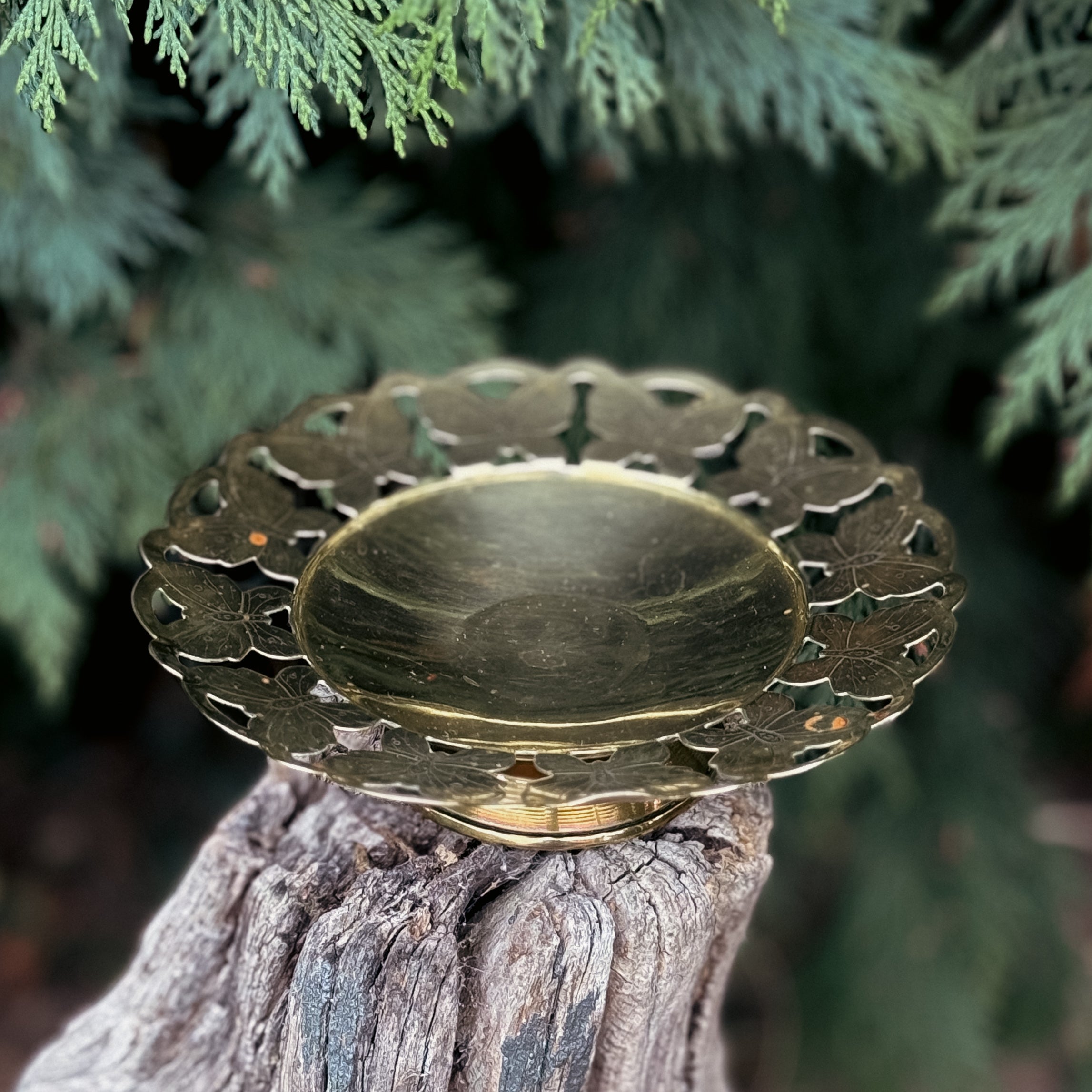 Vintage Brass Butterfly Dish