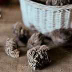 Rose Of Jericho