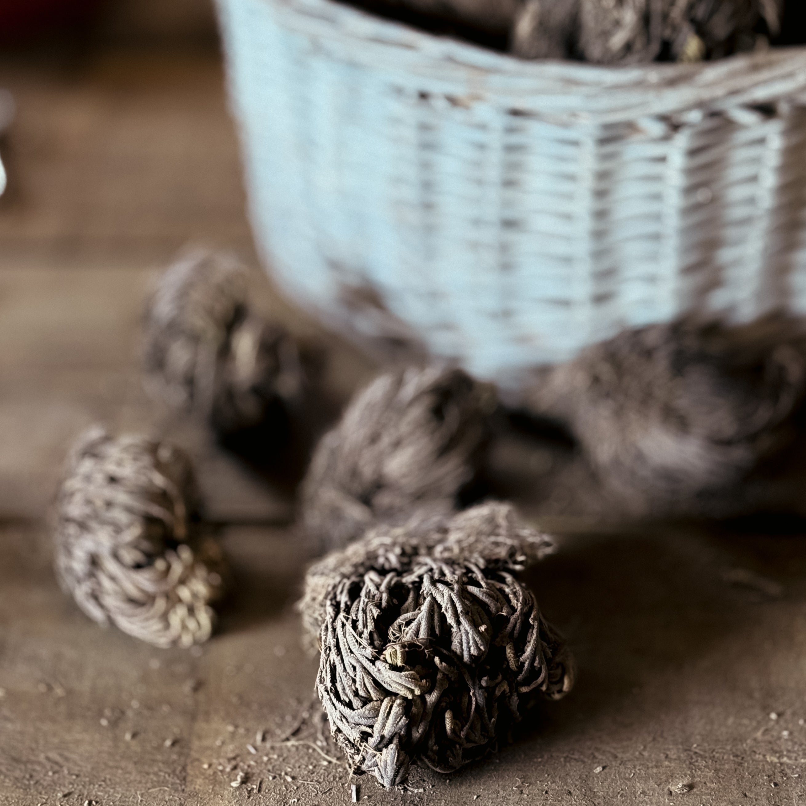 Rose Of Jericho