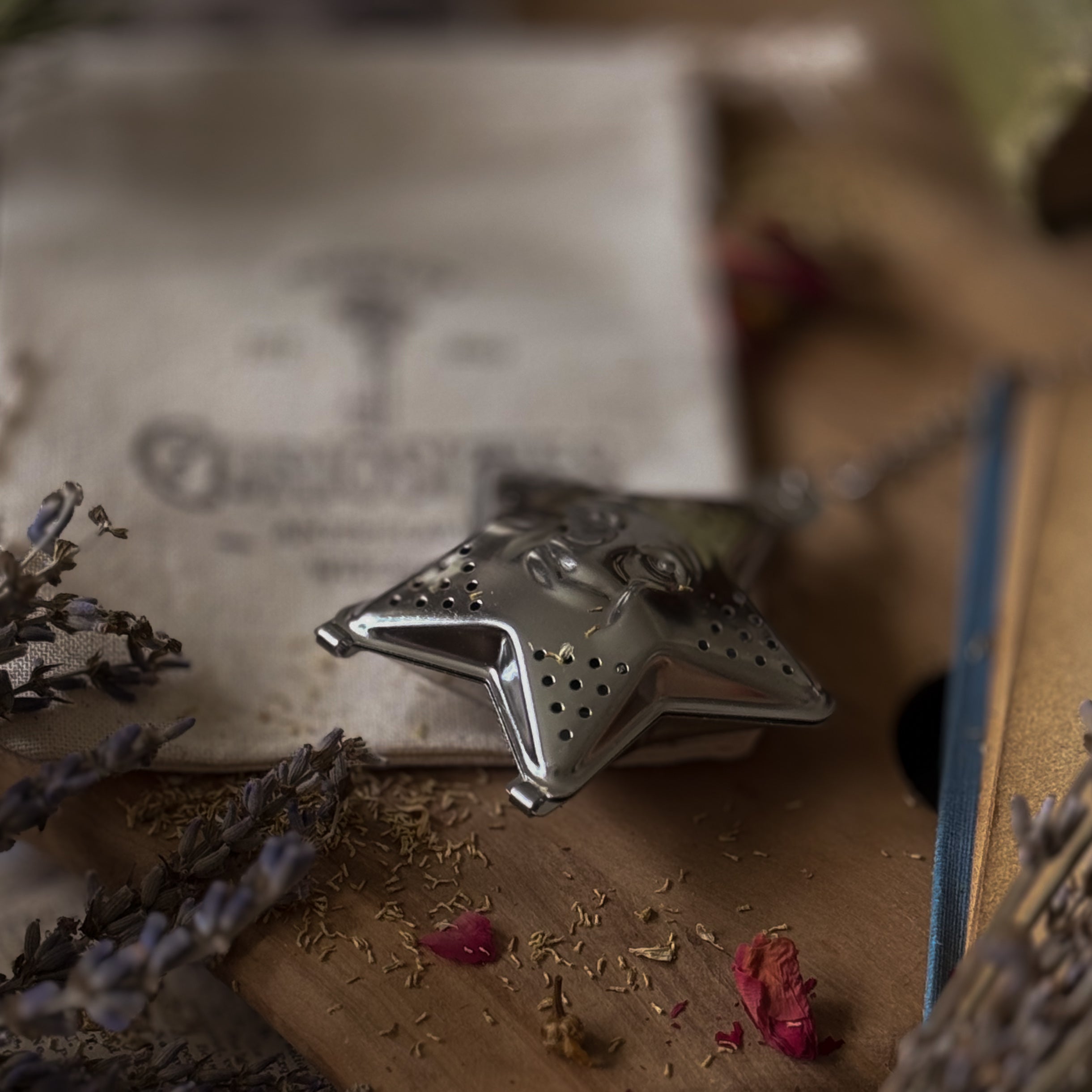 Celestial Star Tea Diffuser