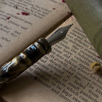 Ornate calligraphy Pen With Ink