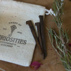 Vintage Iron Coffin Nails