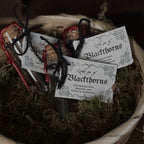 Little Jar Of Blackthorns