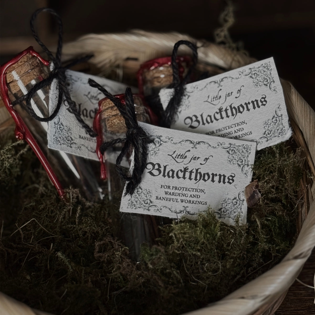 Little Jar Of Blackthorns