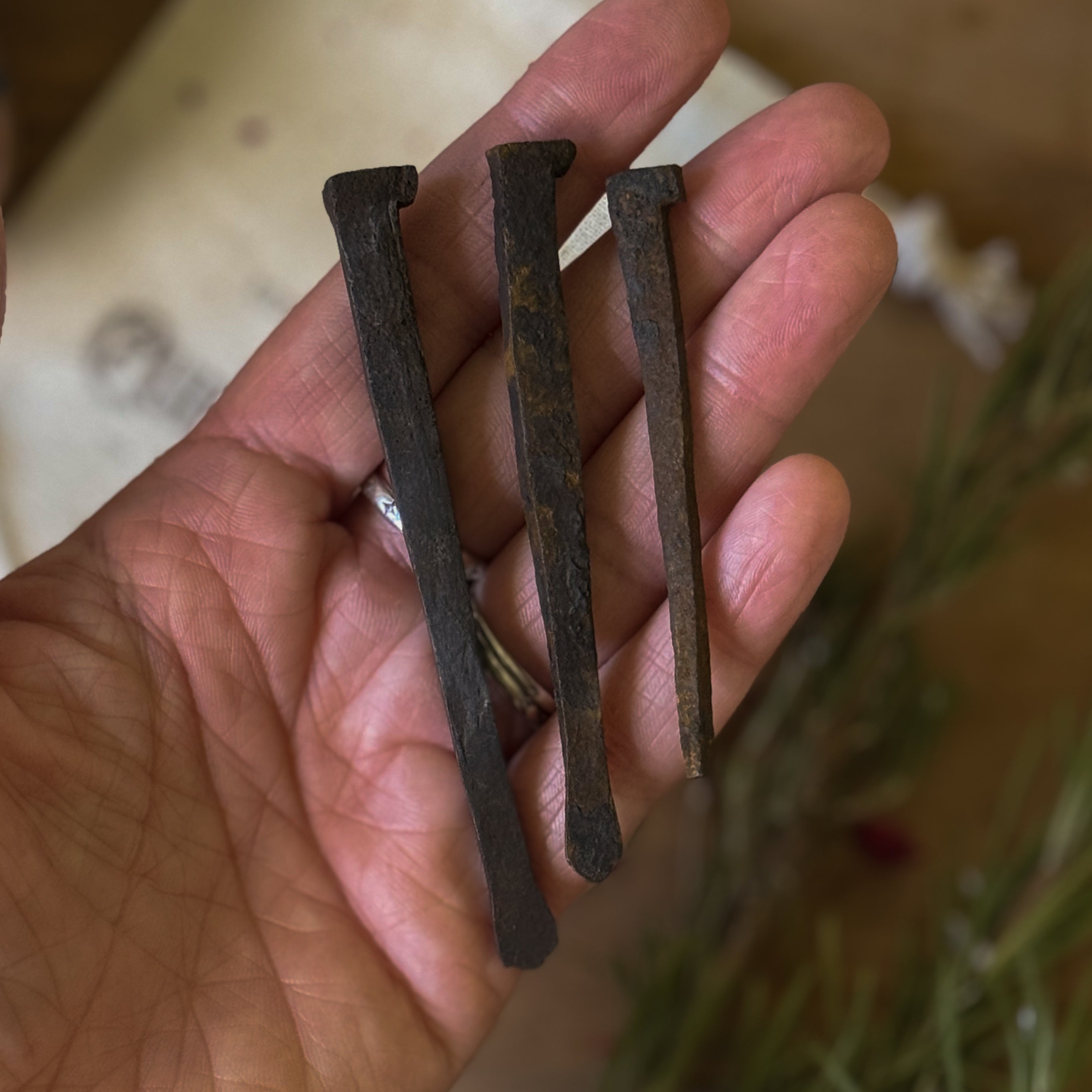 Vintage Iron Coffin Nails