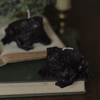 Paddock The Toad Candle