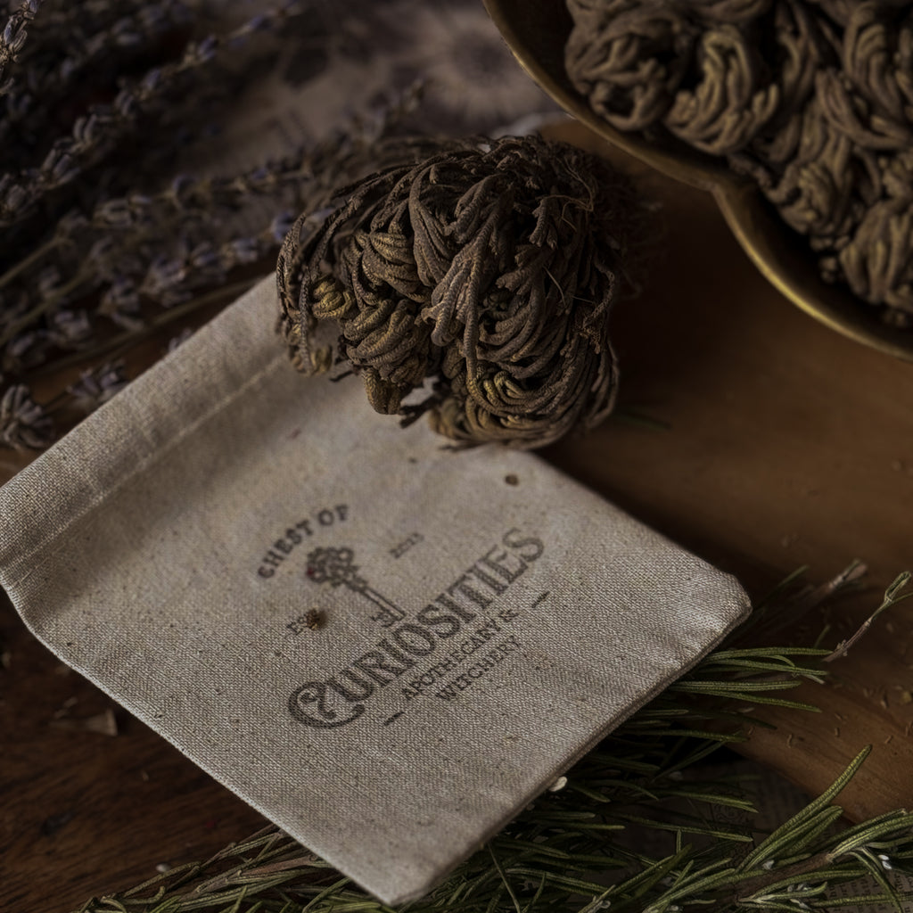 Rose Of Jericho